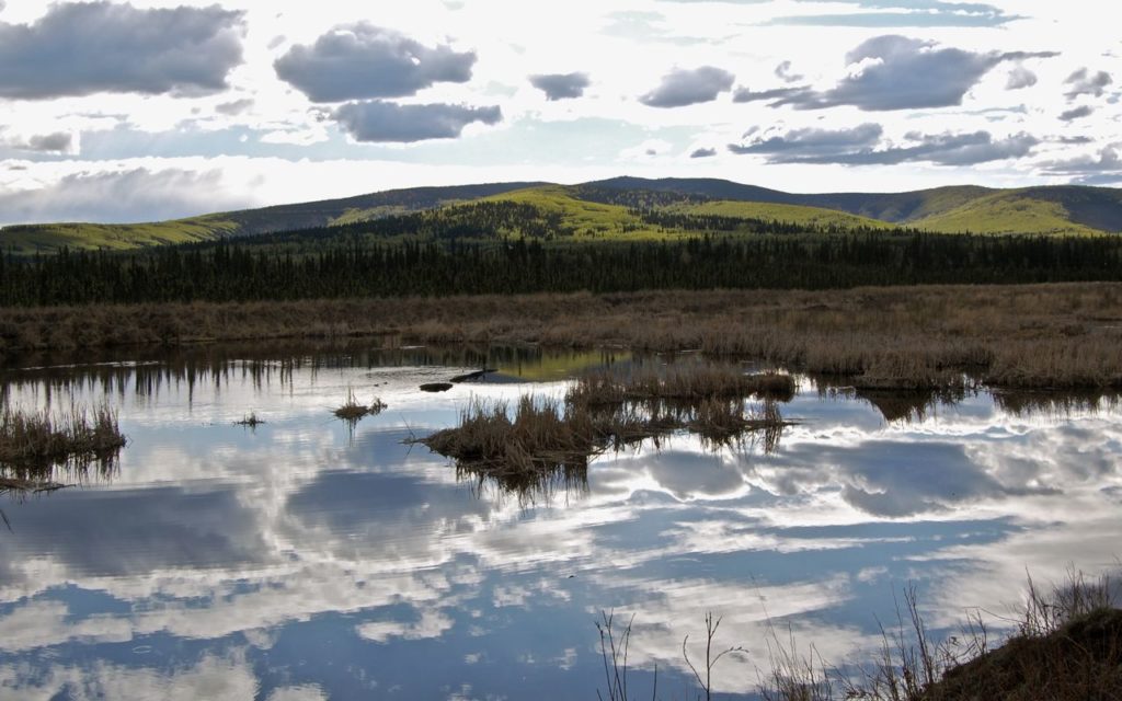 Peat ponds reflecting sky