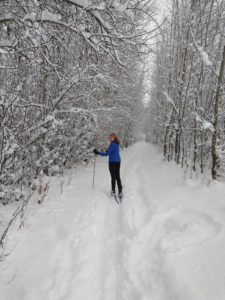skier on a snowy trail